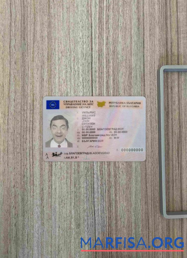Downloadable Bulgaria driving license (2010 – present) photolook real example